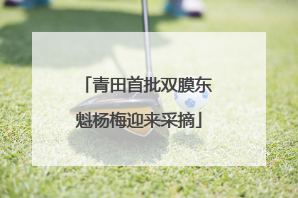 青田首批双膜东魁杨梅迎来采摘
