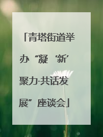 青塔街道举办“凝‘新’聚力·共话发展”座谈会