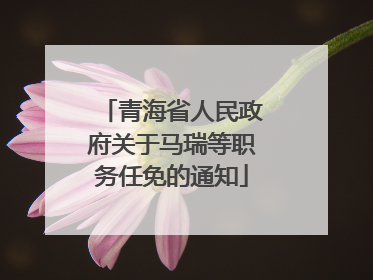 青海省人民政府关于马瑞等职务任免的通知
