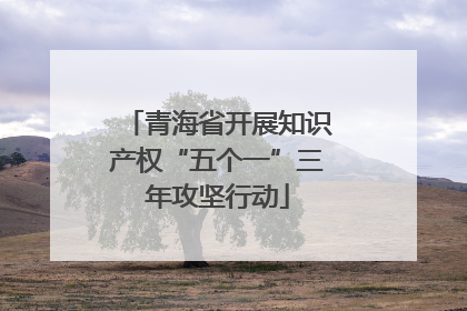 青海省开展知识产权“五个一”三年攻坚行动
