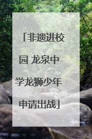 非遗进校园 龙泉中学龙狮少年申请出战