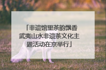 非遗馆里茶韵飘香 武夷山水非遗茶文化主题活动在京举行