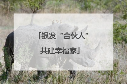 银发“合伙人” 共建幸福家