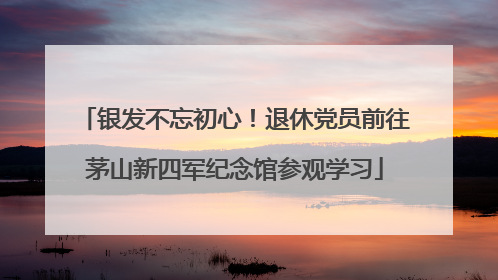 银发不忘初心！退休党员前往茅山新四军纪念馆参观学习