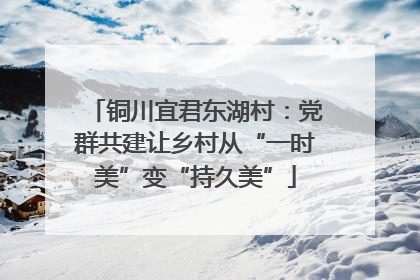 铜川宜君东湖村：党群共建让乡村从“一时美”变“持久美”