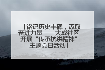 铭记历史丰碑，汲取奋进力量——大成社区开展“传承抗洪精神”主题党日活动