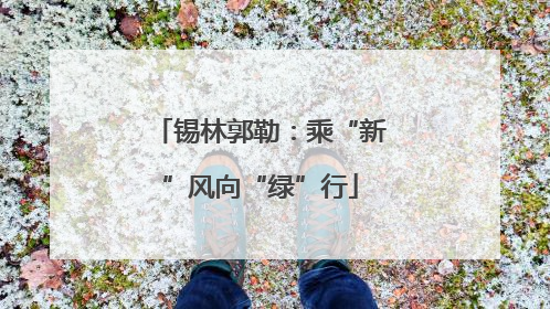 锡林郭勒：乘“新”风向“绿”行