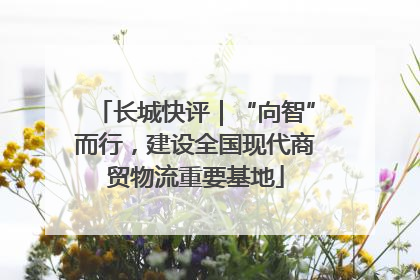 长城快评｜“向智”而行，建设全国现代商贸物流重要基地