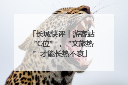 长城快评｜游客站“C位”，“文旅热”才能长热不衰