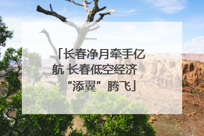 长春净月牵手亿航 长春低空经济“添翼”腾飞