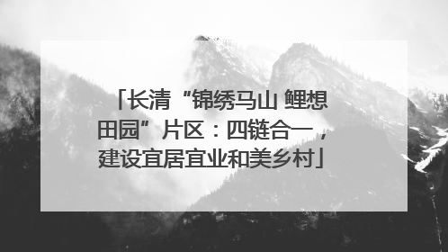 长清“锦绣马山 鲤想田园”片区：四链合一，建设宜居宜业和美乡村