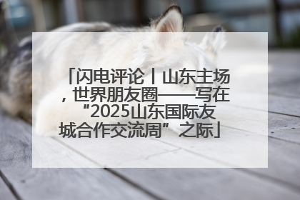 闪电评论丨山东主场，世界朋友圈——写在“2025山东国际友城合作交流周”之际