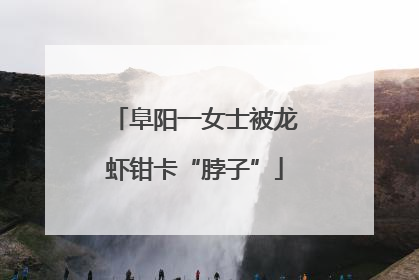 阜阳一女士被龙虾钳卡“脖子”