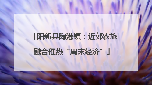 阳新县陶港镇：近郊农旅融合催热“周末经济”