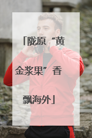 陇原“黄金浆果”香飘海外