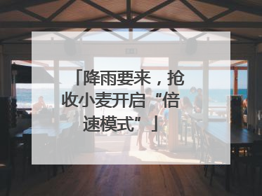 降雨要来，抢收小麦开启“倍速模式”