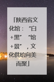 陕西省文化馆：“白+黑”“馆+景”，文化供给向美而聚