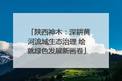 陕西神木：深耕黄河流域生态治理 绘就绿色发展新画卷