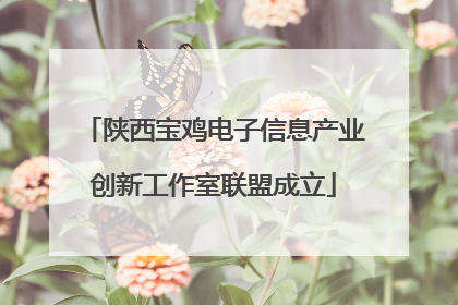 陕西宝鸡电子信息产业创新工作室联盟成立
