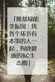 隆基绿能李振国：找各个环节有本事的人一起，构建健康的BC生态圈