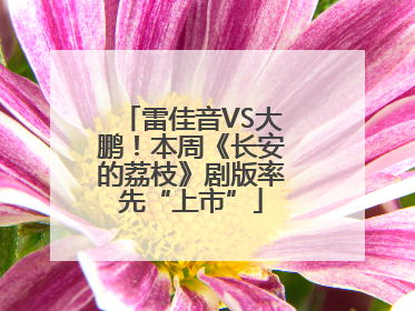 雷佳音VS大鹏！本周《长安的荔枝》剧版率先“上市”