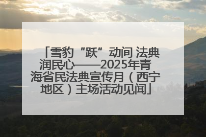 雪豹“跃”动间 法典润民心——2025年青海省民法典宣传月（西宁地区）主场活动见闻