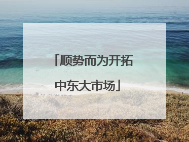 顺势而为开拓中东大市场