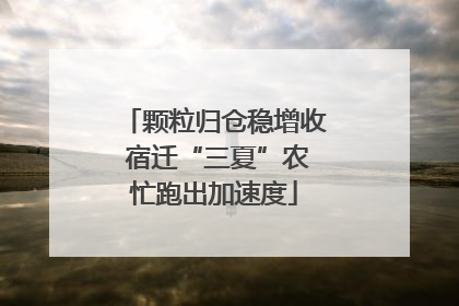 颗粒归仓稳增收 宿迁“三夏”农忙跑出加速度