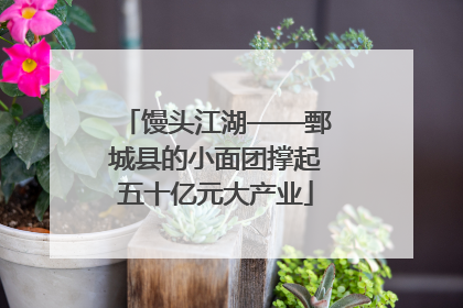 馒头江湖——鄄城县的小面团撑起五十亿元大产业