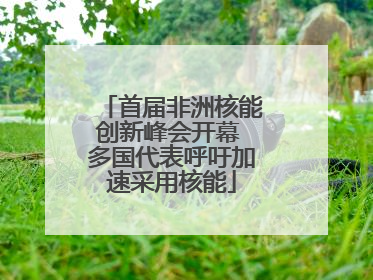 首届非洲核能创新峰会开幕 多国代表呼吁加速采用核能