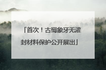 首次！古蜀象牙无灌封材料保护公开展出