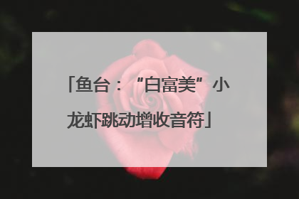 鱼台：“白富美”小龙虾跳动增收音符