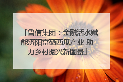 鲁信集团：金融活水赋能济阳富硒西瓜产业 助力乡村振兴新图景