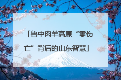 鲁中肉羊高原“零伤亡”背后的山东智慧