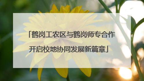 鹤岗工农区与鹤岗师专合作 开启校地协同发展新篇章