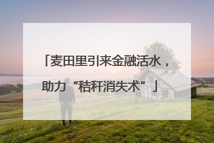 麦田里引来金融活水，助力“秸秆消失术”