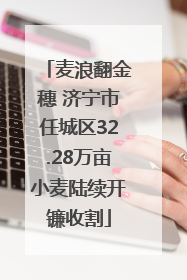 麦浪翻金穗 济宁市任城区32.28万亩小麦陆续开镰收割