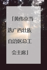 黄伟京当选广西壮族自治区总工会主席
