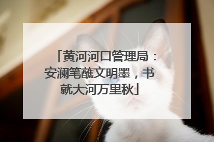黄河河口管理局：安澜笔蘸文明墨，书就大河万里秋
