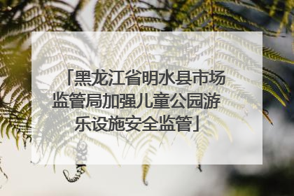 黑龙江省明水县市场监管局加强儿童公园游乐设施安全监管