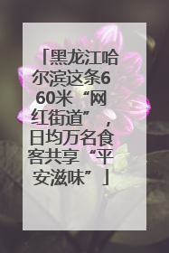 黑龙江哈尔滨这条660米“网红街道”，日均万名食客共享“平安滋味”