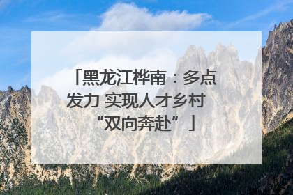 黑龙江桦南：多点发力 实现人才乡村“双向奔赴”