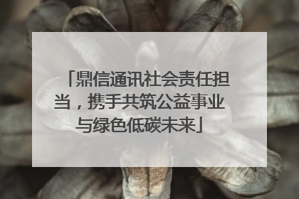鼎信通讯社会责任担当，携手共筑公益事业与绿色低碳未来