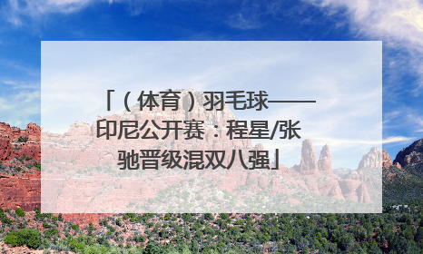 （体育）羽毛球——印尼公开赛：程星/张驰晋级混双八强