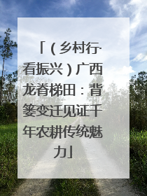 （乡村行·看振兴）广西龙脊梯田：背篓变迁见证千年农耕传统魅力