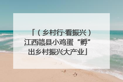 （乡村行·看振兴）江西赣县小鸡蛋“孵”出乡村振兴大产业