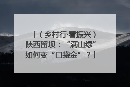 （乡村行·看振兴）陕西留坝：“满山绿”如何变“口袋金”？