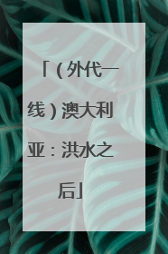 （外代一线）澳大利亚：洪水之后