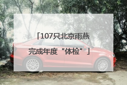 107只北京雨燕完成年度“体检”