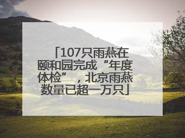 107只雨燕在颐和园完成“年度体检”，北京雨燕数量已超一万只